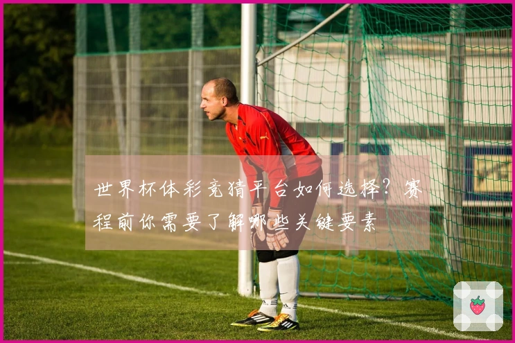 世界杯体彩竞猜平台如何选择？赛程前你需要了解哪些关键要素