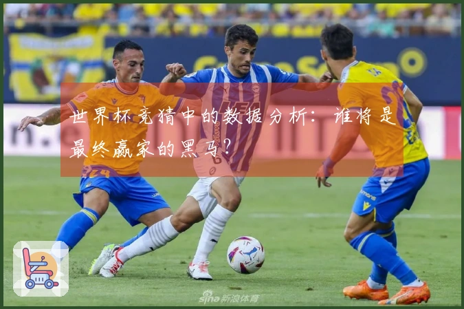 世界杯竞猜中的数据分析：谁将是最终赢家的黑马？