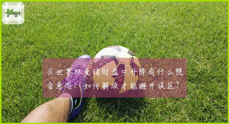 买世界杯竞猜时盘口升降有什么隐含意思，如何解读才能避开误区？