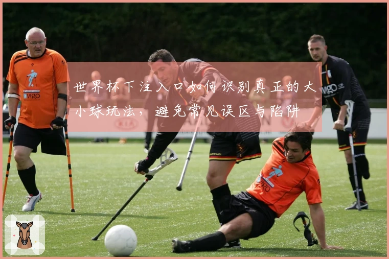 世界杯下注入口如何识别真正的大小球玩法，避免常见误区与陷阱