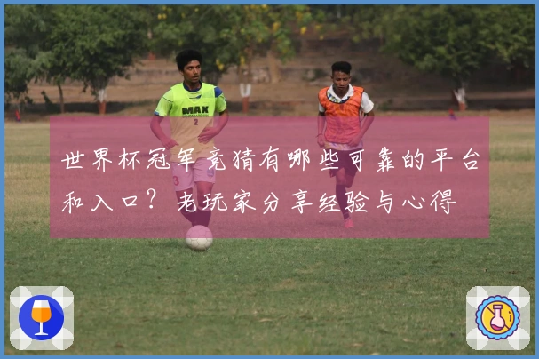世界杯冠军竞猜有哪些可靠的平台和入口？老玩家分享经验与心得