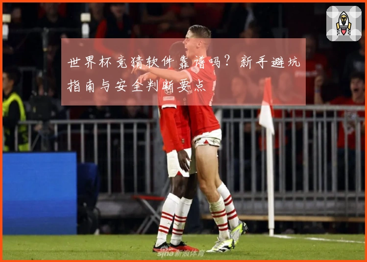 世界杯竞猜软件靠谱吗？新手避坑指南与安全判断要点