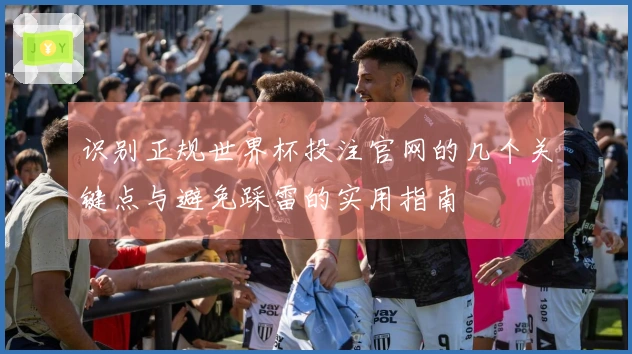 识别正规世界杯投注官网的几个关键点与避免踩雷的实用指南