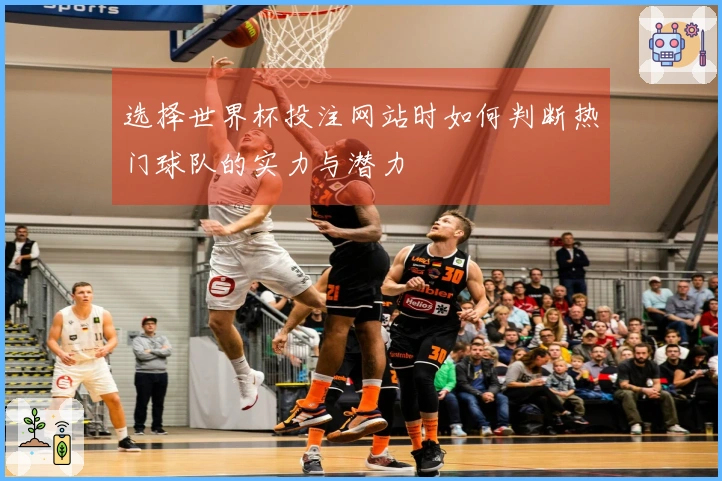 选择世界杯投注网站时如何判断热门球队的实力与潜力