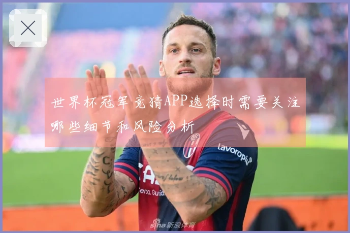 世界杯冠军竞猜APP选择时需要关注哪些细节和风险分析