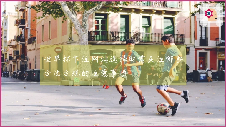 世界杯下注网站选择时需关注哪些合法合规的注意事项