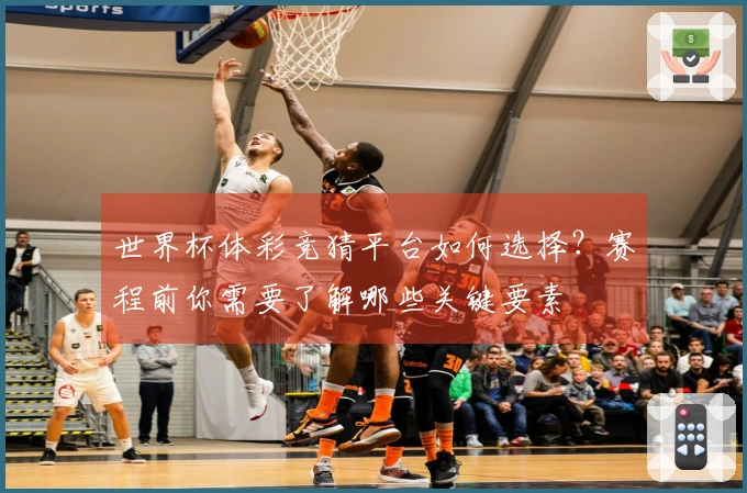 世界杯体彩竞猜平台如何选择？赛程前你需要了解哪些关键要素