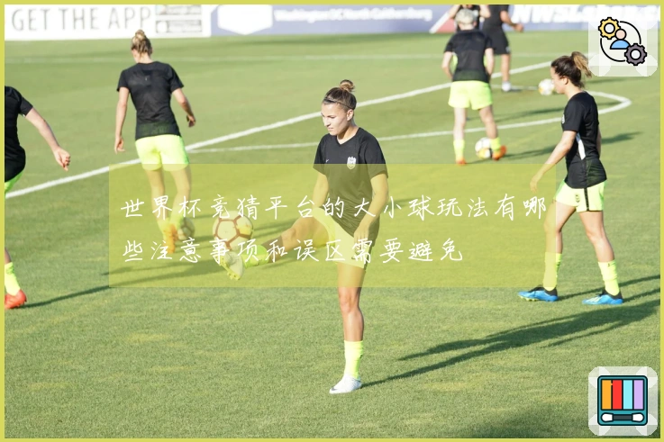 世界杯竞猜平台的大小球玩法有哪些注意事项和误区需要避免