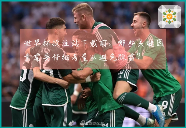 世界杯投注站下载前，哪些关键因素需要仔细考量以避免踩雷？