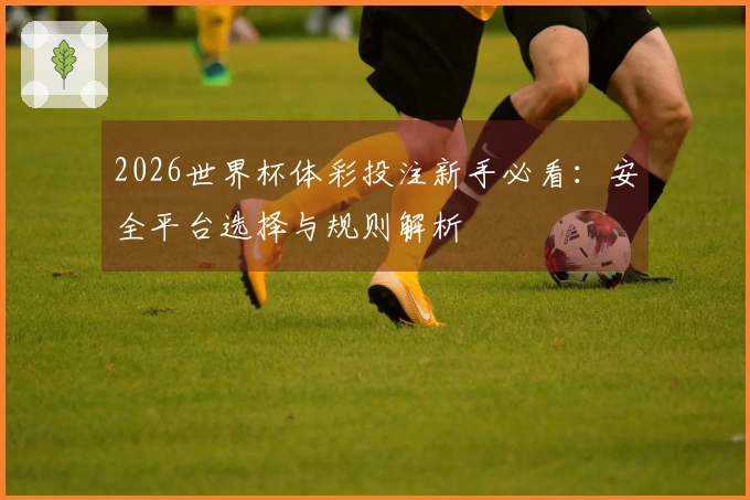 2026世界杯体彩投注新手必看：安全平台选择与规则解析