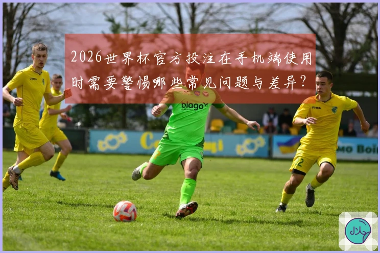 2026世界杯官方投注在手机端使用时需要警惕哪些常见问题与差异？