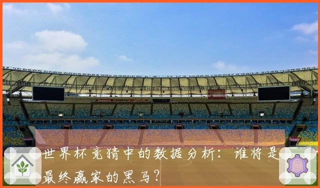 世界杯竞猜中的数据分析：谁将是最终赢家的黑马？