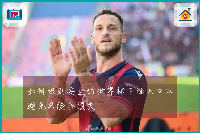如何识别安全的世界杯下注入口以避免风险和损失