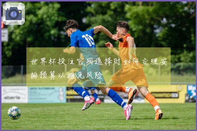 世界杯投注官网选择时如何合理安排预算以避免风险