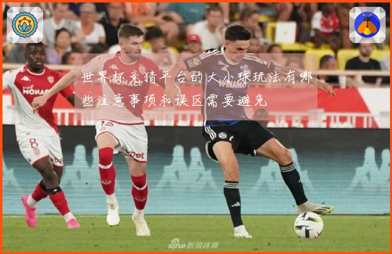 世界杯竞猜平台的大小球玩法有哪些注意事项和误区需要避免