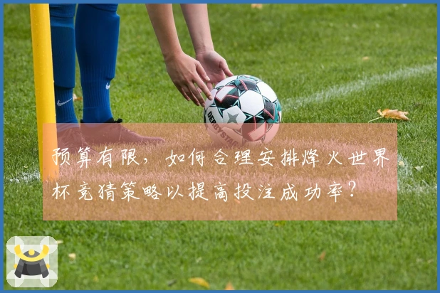 预算有限，如何合理安排烽火世界杯竞猜策略以提高投注成功率？