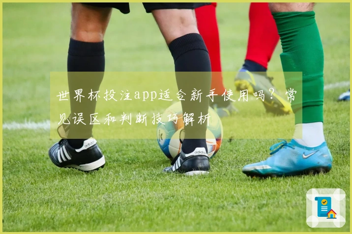 世界杯投注app适合新手使用吗？常见误区和判断技巧解析