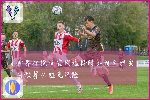 世界杯投注官网选择时如何合理安排预算以避免风险