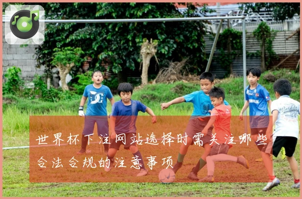 世界杯下注网站选择时需关注哪些合法合规的注意事项