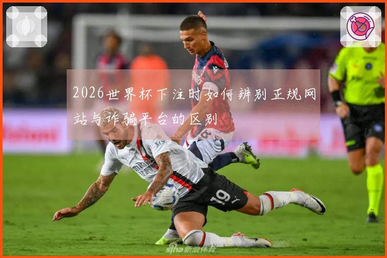 2026世界杯下注时如何辨别正规网站与诈骗平台的区别