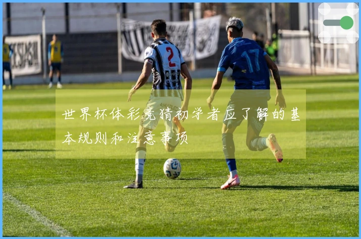 世界杯体彩竞猜初学者应了解的基本规则和注意事项